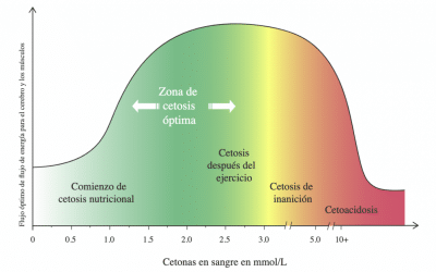 LA DIETA CETOGÉNICA