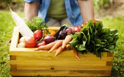 Comer sano y barato es posible: cómo hacer la cesta de la compra
